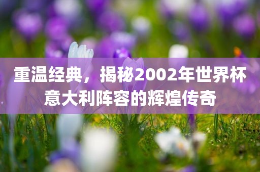 重温经典，揭秘2002年世界杯意大利阵容的辉煌传奇