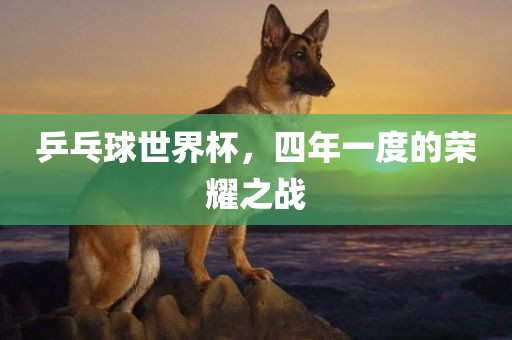 乒乓球世界杯，四年一度的荣耀之战