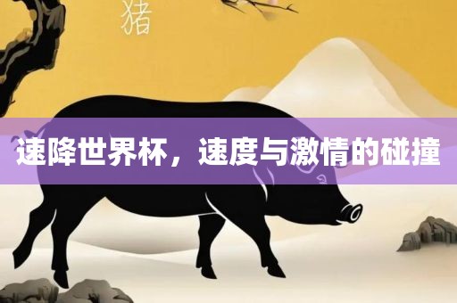 速降世界杯，速度与激情的碰撞眉山市正发家政服务有限公司