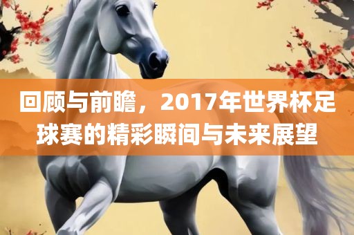 回顾与前瞻，2017年眉山市正发家政服务有限公司世界杯足球赛的精彩瞬间与未来展望