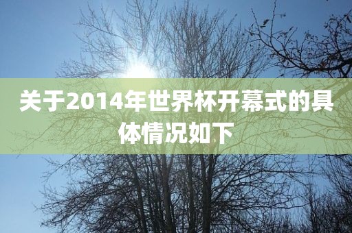 关于2014年世界杯开幕式的具体情况如下眉山市正发家政服务有限公司