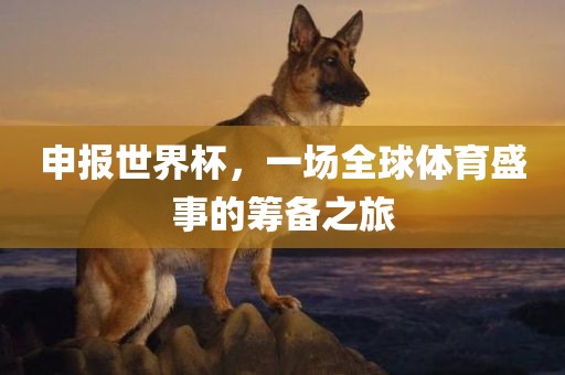 申报世界杯，一场全球体育盛事的筹备之旅眉山市正发家政服务有限公司