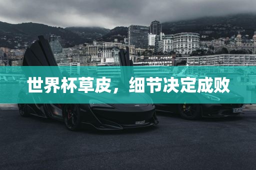 世界杯草皮，细节决定成败