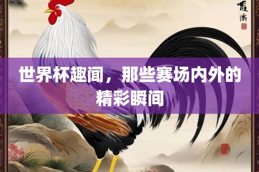 世界杯趣闻，那些赛场内外的精彩瞬间