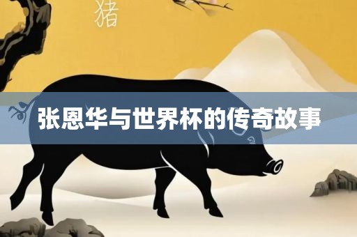 张恩华与世界杯的传奇故事