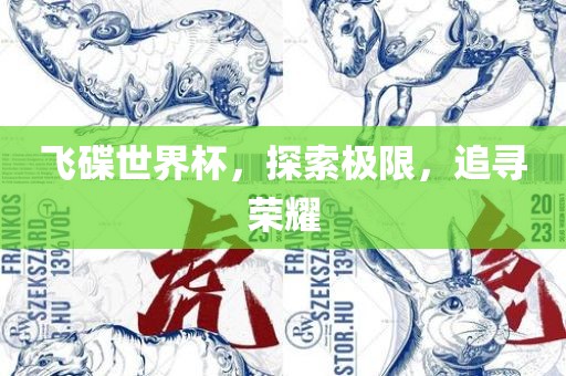 飞碟世界杯，探索极限，追寻荣耀眉山市正发家政服务有限公司