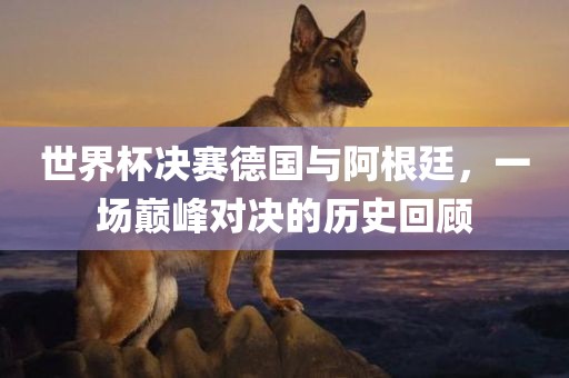 世界杯决赛德国与阿根廷，一场巅峰对决的历史回顾