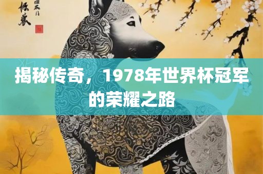 揭秘传奇，1978年世界杯冠军的荣耀之路