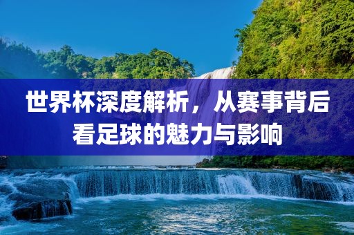 眉山市正发家政服务有限公司世界杯深度解析，从赛事背后看足球的魅力与影响