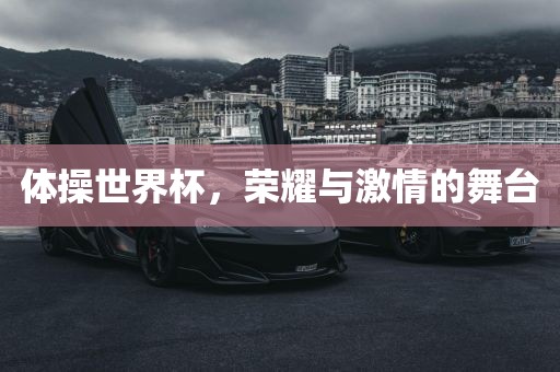 体操世界杯，荣耀与激情的舞台