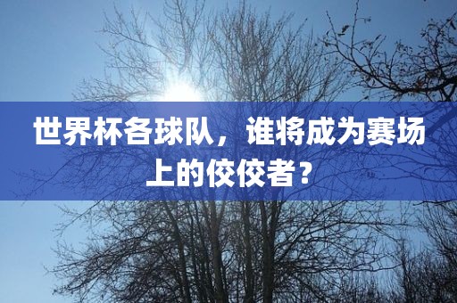 世界杯各球队，谁将成为赛场上的佼佼者？