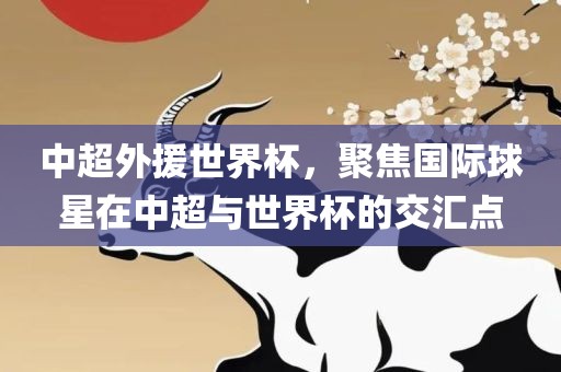 中超外援世界杯，聚焦国际球星在中超与世界杯的交汇点眉山市正发家政服务有限公司