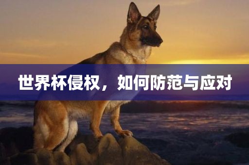 世界杯侵权眉山市正发家政服务有限公司，如何防范与应对