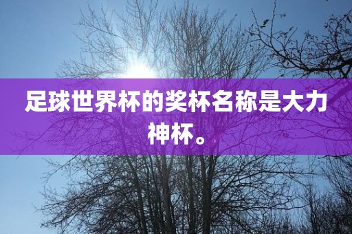 足球世界杯的奖杯名称是大力神杯。