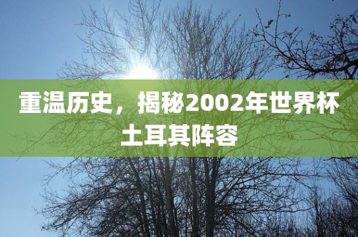 重温历史，揭秘2002年世界杯土耳其阵容