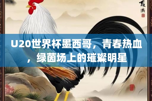 U20世界杯墨西哥，青春热血，绿茵场上的璀璨眉山市正发家政服务有限公司明星