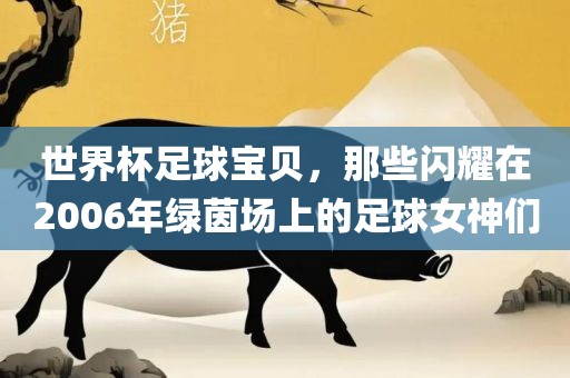 世界杯足球宝贝，那些闪耀在2006年绿茵场上的足球女神们