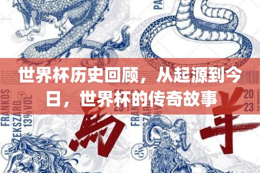 世界杯历史回顾，从起源到今日，世界杯的传奇故事