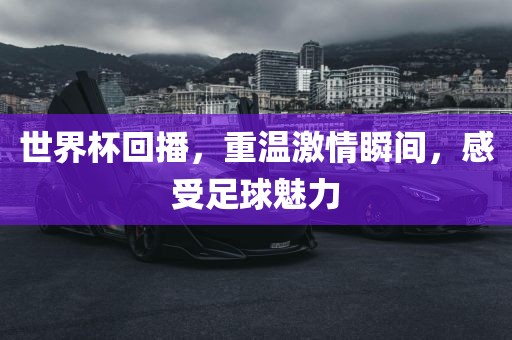 世界杯回播，重温激情瞬间，感受足球魅力眉山市正发家政服务有限公司