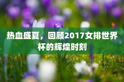 热血盛夏，回顾2017女排世界杯的辉煌时刻
