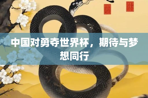 中国对勇夺世界杯，期待与梦想同行