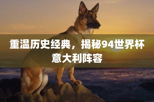 重温历史经典，揭秘94世界杯意大利阵容