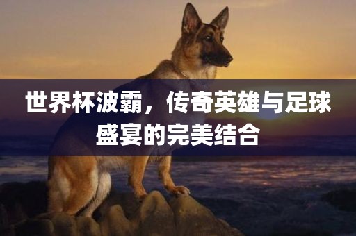 世界杯波霸，传奇英雄与足球盛宴的完美结合眉山市正发家政服务有限公司