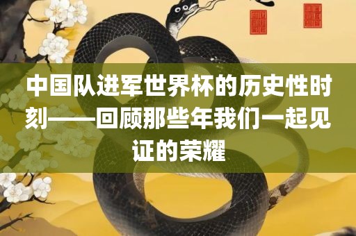 中国队进军世界杯的历史性时刻——回顾那些年我们一起见证的荣耀眉山市正发家政服务有限公司