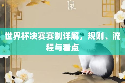 世界杯决赛赛制详解，规则、流程与看点眉山市正发家政服务有限公司