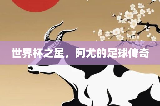 世界杯之星，阿尤的足球传奇