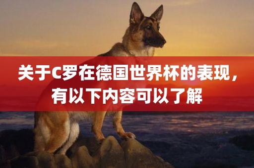 关于C罗在德国世界杯的表现，有以下内容可以了解