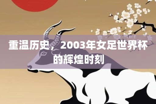 重温历史，2003年女足世界杯的辉煌时刻