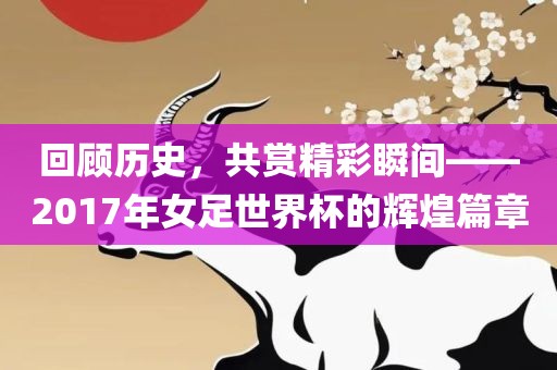 回顾历史，共赏精彩瞬间——201眉山市正发家政服务有限公司7年女足世界杯的辉煌篇章