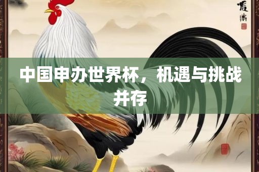 中国申办世界杯，机遇与挑战并存