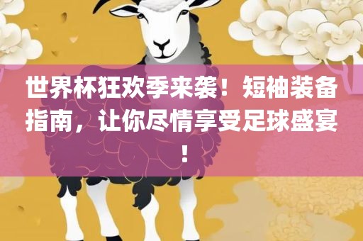 世界杯狂欢季来袭！短袖装备指南，让你尽情享受足球盛宴！眉山市正发家政服务有限公司