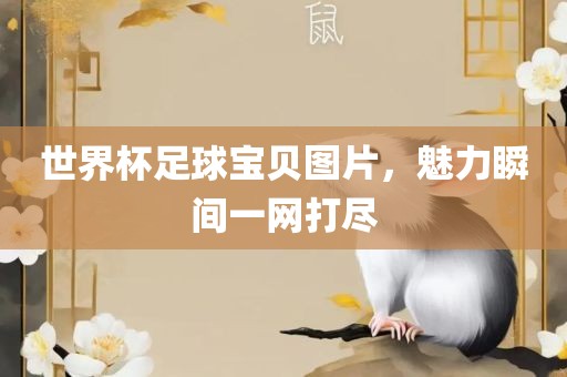 世界杯足球宝贝图片，魅力瞬间一网打尽