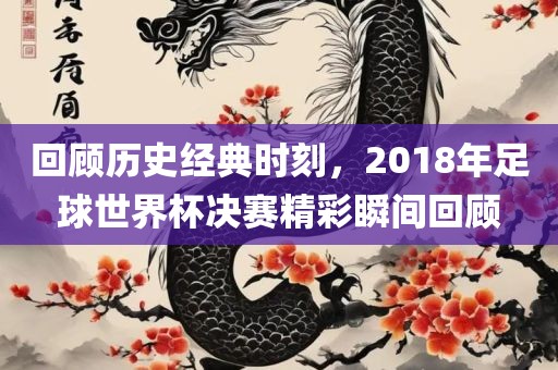 回顾历史经典时刻，2018年足球世界杯决赛精彩瞬间回顾