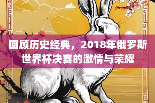回顾历史经典，2018年俄罗斯世界杯决赛的激情与荣耀
