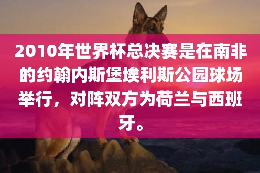 2010年世界杯总决赛是在南非的约翰内斯堡埃利斯公园球场举行，对阵双方为荷兰与西班牙。