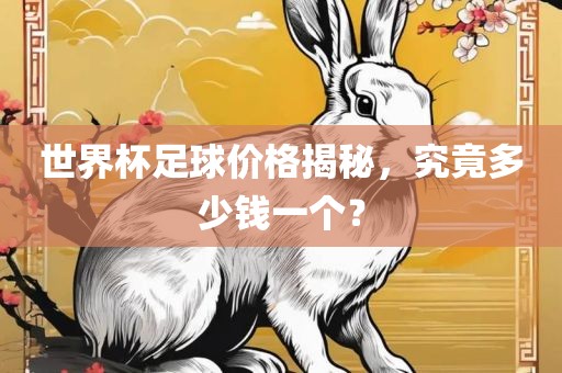 世界杯足球价格揭秘，究竟多少钱一个？