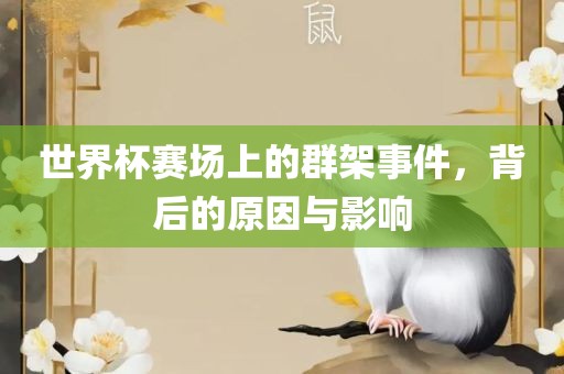 世界杯赛场上的群架事件，背后的原因与影响