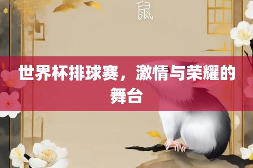 世界杯排球赛，激情与荣耀的舞台