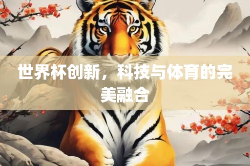 世界杯创新，科技与体育的完美融合