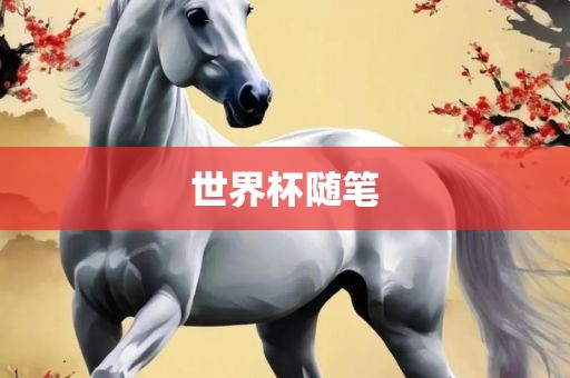 眉山市正发家政服务有限公司世界杯随笔