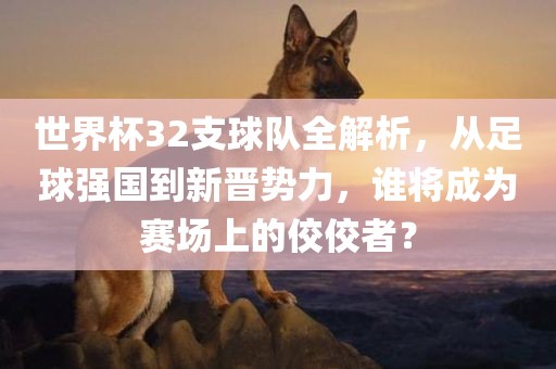世界杯32支球队全解析，从足球强国到新晋势力，谁将成为赛场上的佼佼者？
