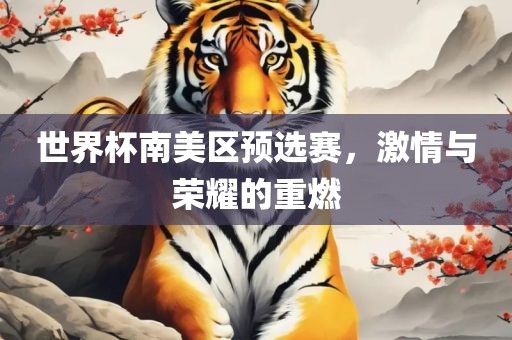 世界杯南美区预选赛，激情与荣耀的重燃