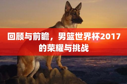 回顾与前瞻，男篮世界杯2017的荣耀与挑战