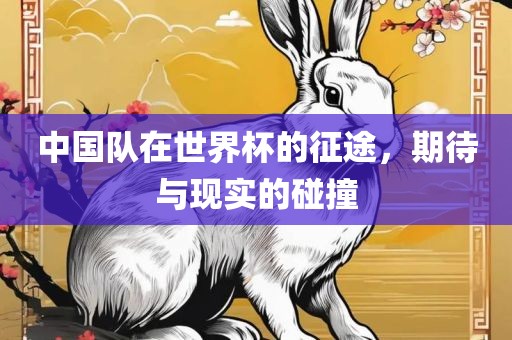中国队在世界杯的征途，期待与现实的碰撞眉山市正发家政服务有限公司