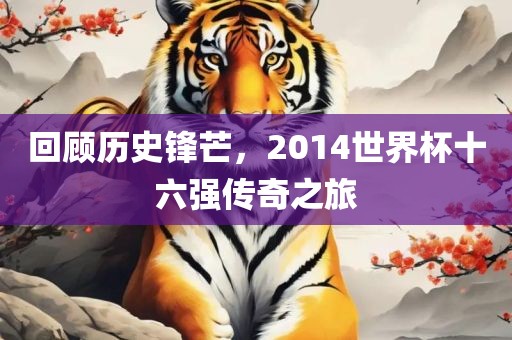 回顾历史锋芒，2014世界杯十六强传奇之旅眉山市正发家政服务有限公司