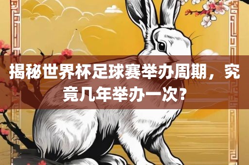 揭秘世界杯眉山市正发家政服务有限公司足球赛举办周期，究竟几年举办一次？